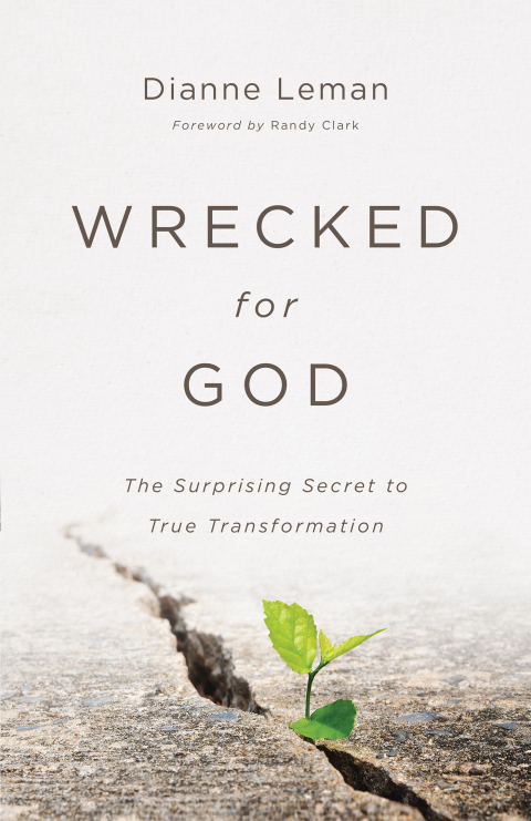 Cover image for book Wrecked for God