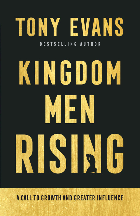 Cover image for book Kingdom Men Rising