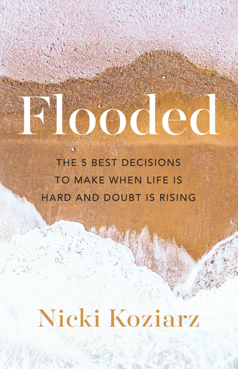 Cover image for book Flooded
