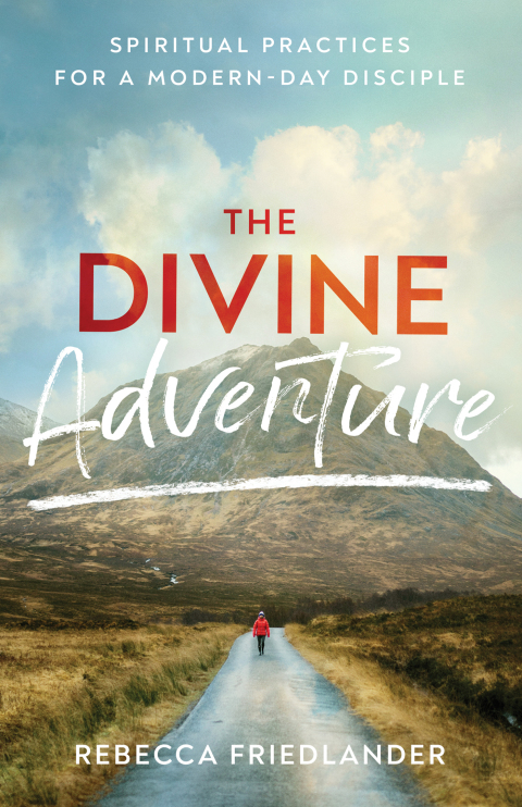 Cover image for book The Divine Adventure