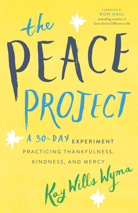 Cover image for book The Peace Project
