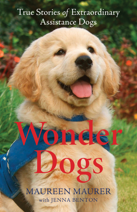 Cover image for book Wonder Dogs
