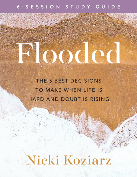 Cover image for book Flooded Study Guide