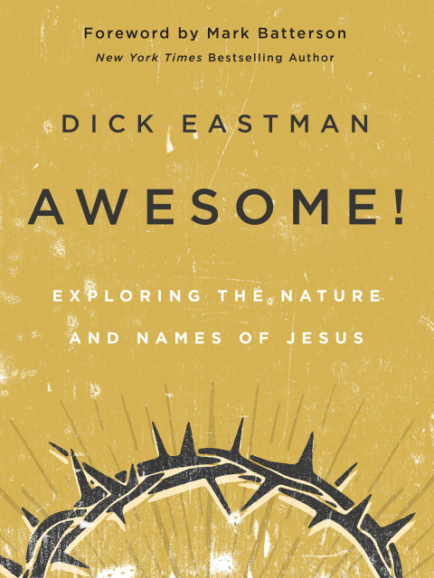 Cover image for book Awesome!