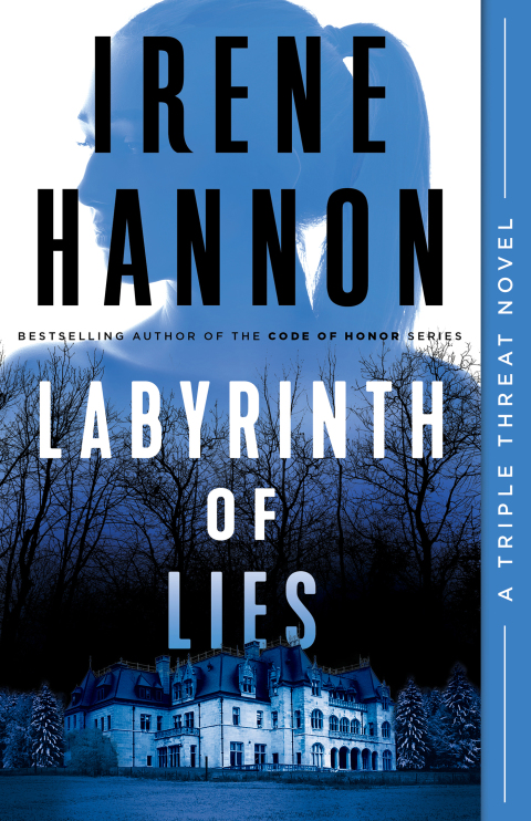 Cover image for book Labyrinth of Lies