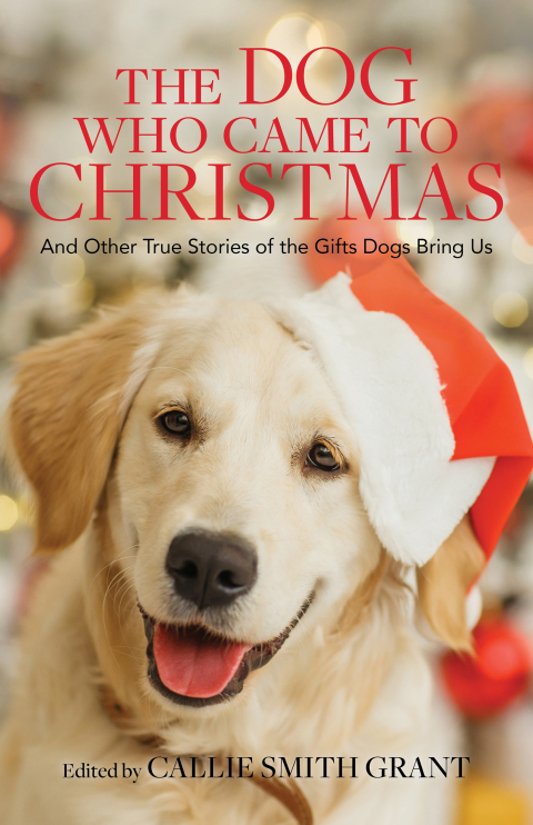 Cover image for book The Dog Who Came to Christmas
