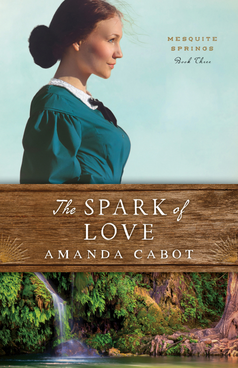 Cover image for book The Spark of Love