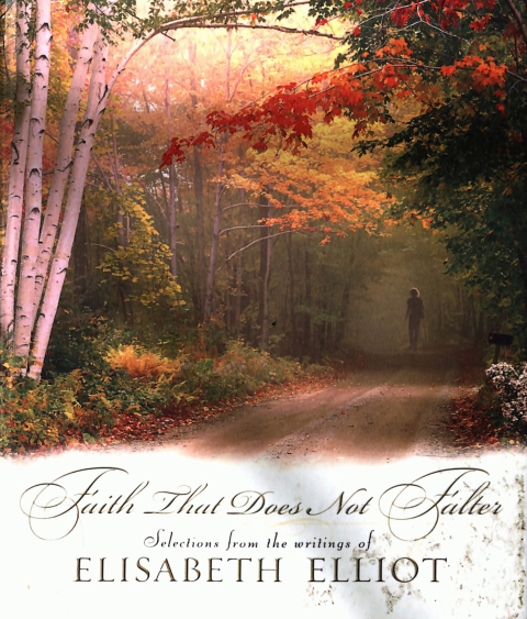 Cover image for book Faith That Does Not Falter