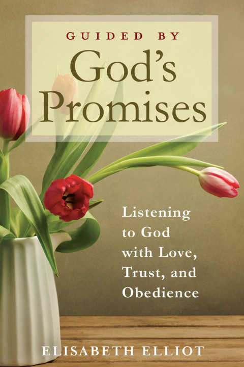 Cover image for book Guided by God's Promises