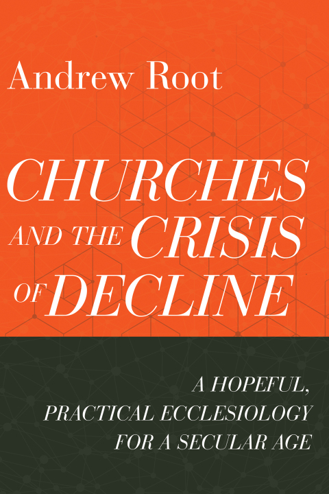 Cover image for book Churches and the Crisis of Decline