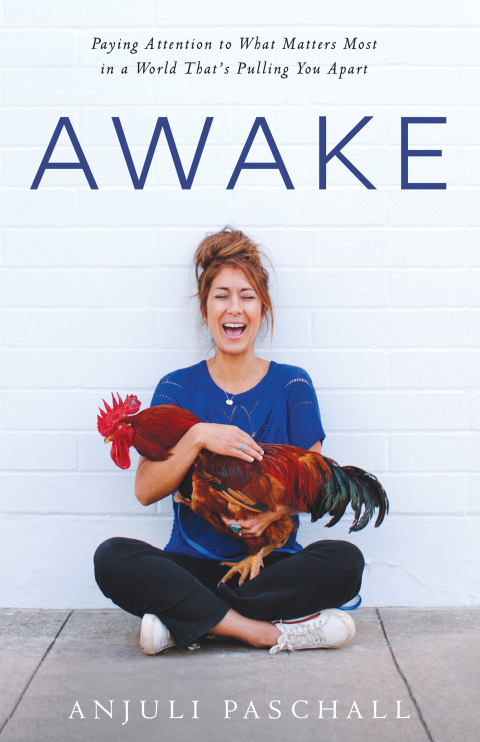 Cover image for book Awake