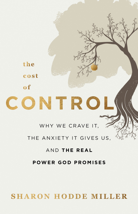 Cover image for book The Cost of Control