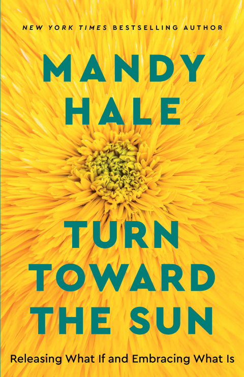 Cover image for book Turn Toward the Sun