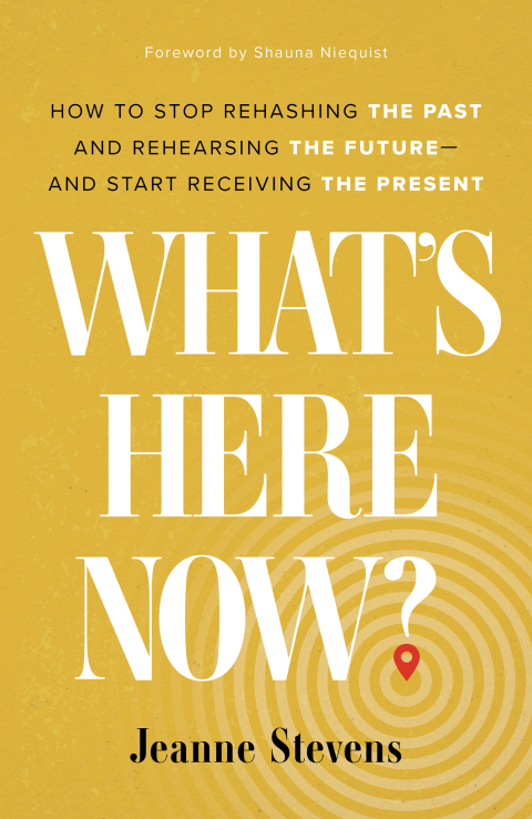 Cover image for book What's Here Now?