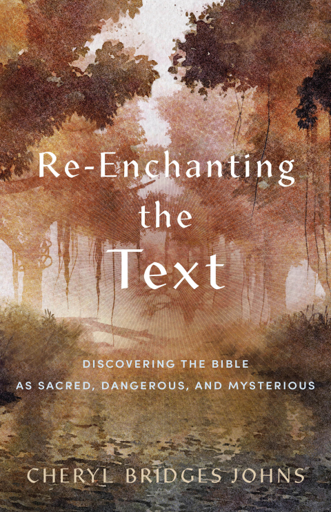 Cover image for book Re-enchanting the Text