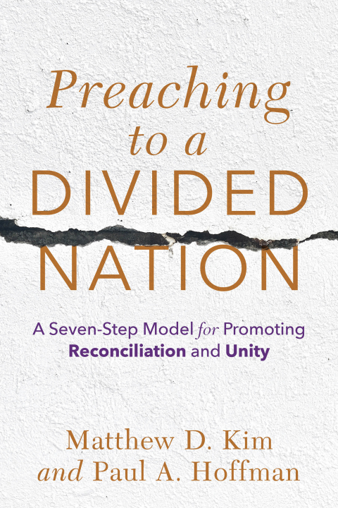 Cover image for book Preaching to a Divided Nation