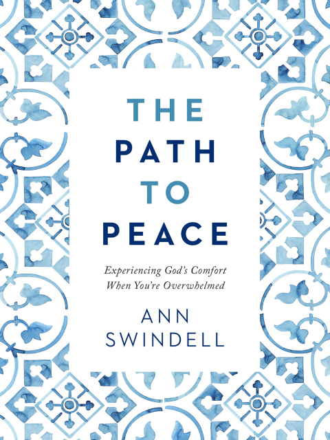 Cover image for book The Path to Peace