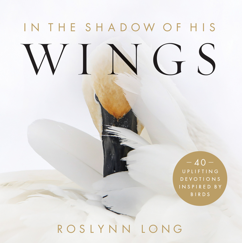 Reflowable In the Shadow of His Wings; $19.97
