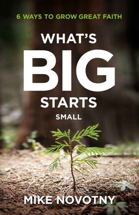 Cover image for book What's Big Starts Small