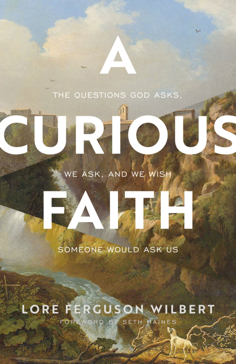 Cover image for book A Curious Faith