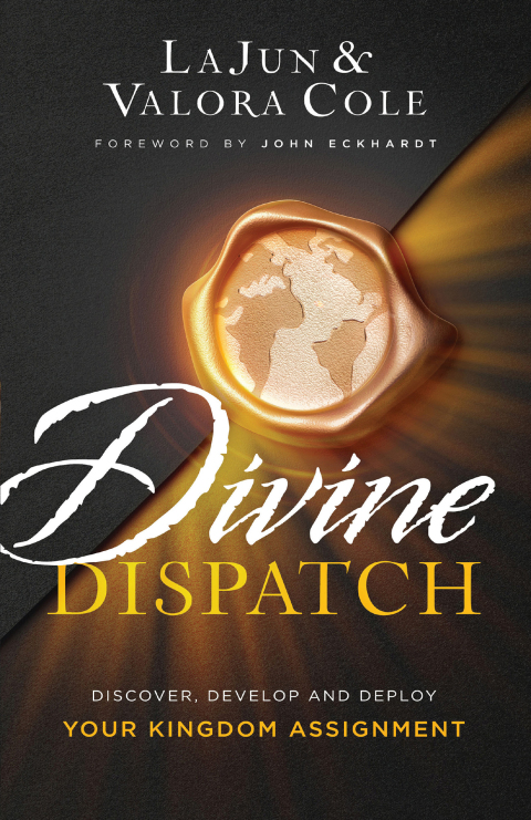 Cover image for book Divine Dispatch