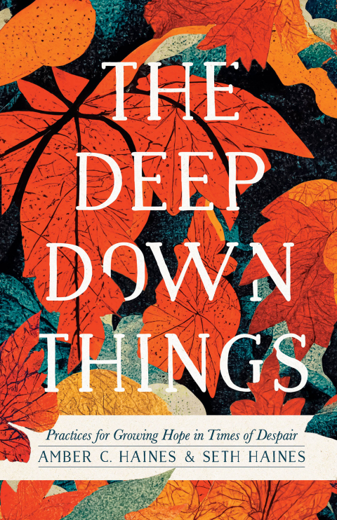 Cover image for book The Deep Down Things