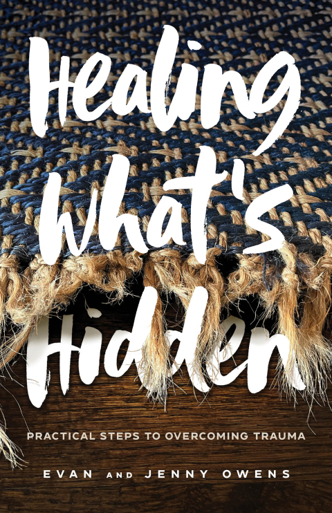 Cover image for book Healing What's Hidden
