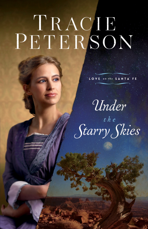Cover image for book Under the Starry Skies