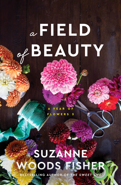Cover image for book A Field of Beauty
