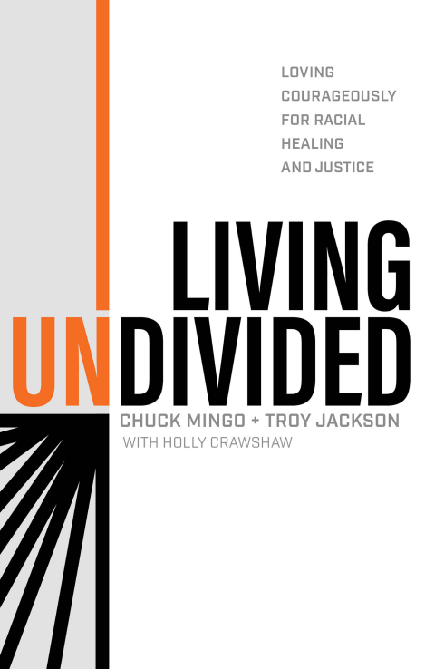 Cover image for book Living Undivided