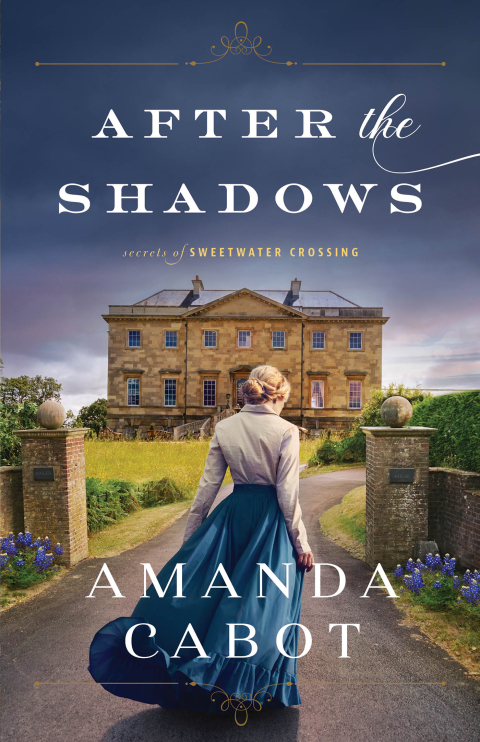 Cover image for book After the Shadows