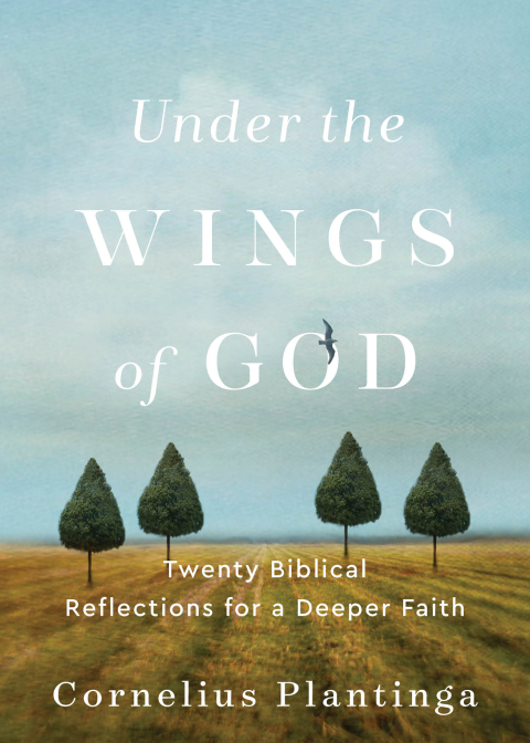 Cover image for book Under the Wings of God