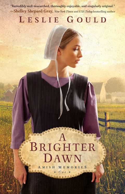 Cover image for book A Brighter Dawn