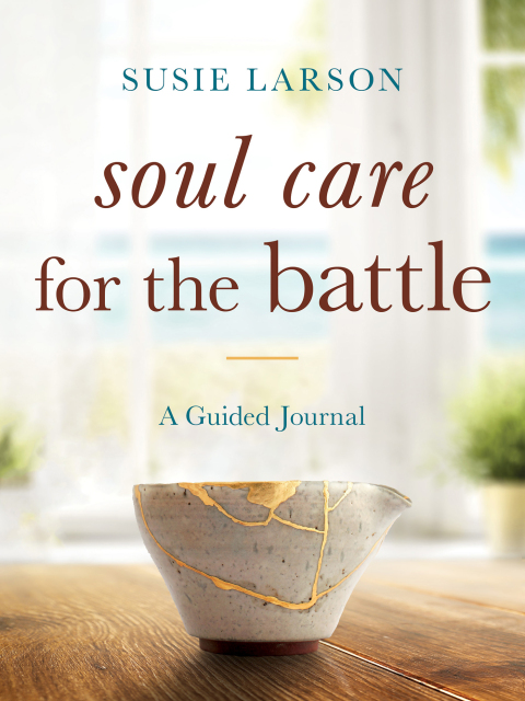 Cover image for book Soul Care for the Battle