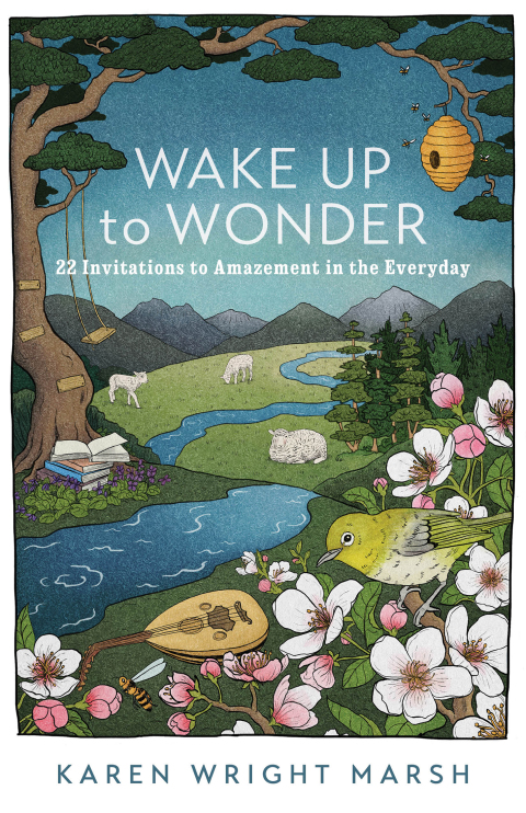 Cover image for book Wake Up to Wonder