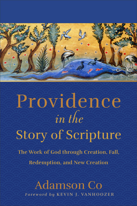 Cover image for book Providence in the Story of Scripture