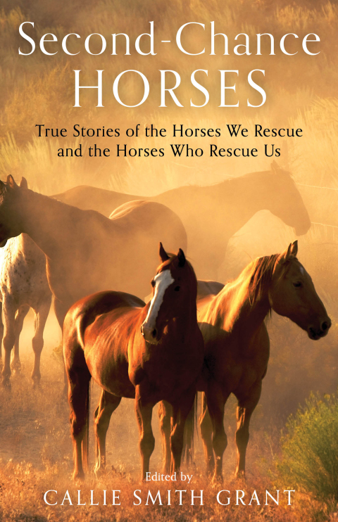 Cover image for book Second-Chance Horses