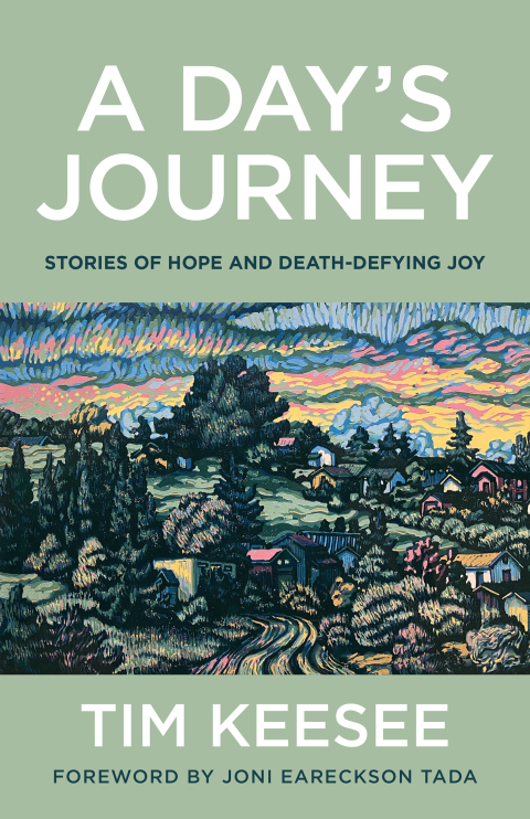 Cover image for book A Day's Journey