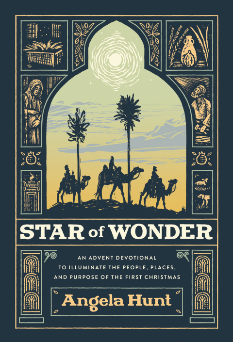 Cover image for book Star of Wonder