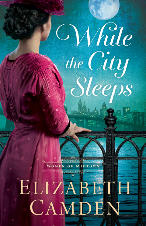 Cover image for book While the City Sleeps