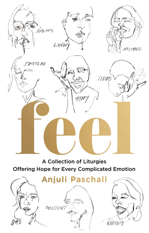 Cover image for book Feel