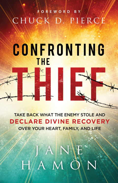 Cover image for book Confronting the Thief