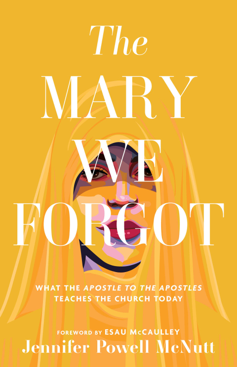 Cover image for book The Mary We Forgot