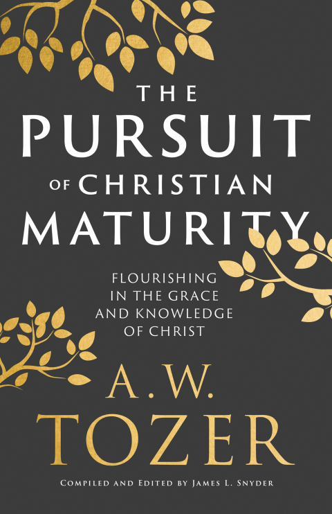 Cover image for book The Pursuit of Christian Maturity