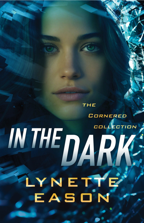 Cover image for book In the Dark