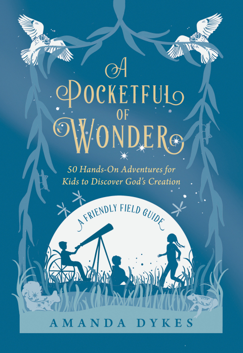 Cover image for book A Pocketful of Wonder