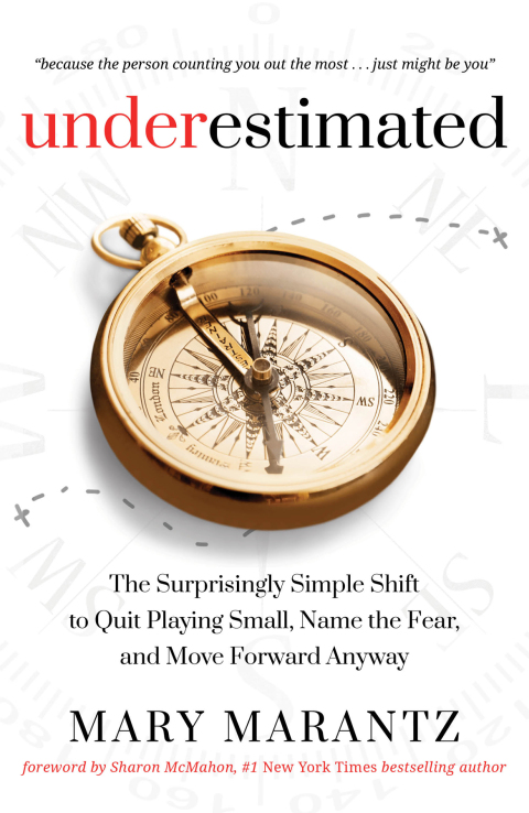 Cover image for book Underestimated