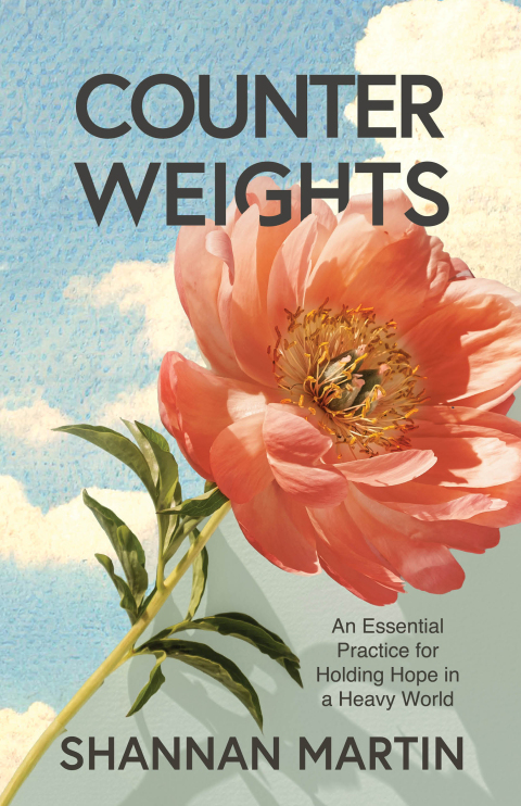 Cover image for book Counterweights