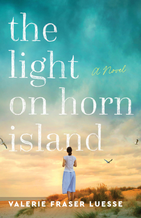 Cover image for book The Light on Horn Island