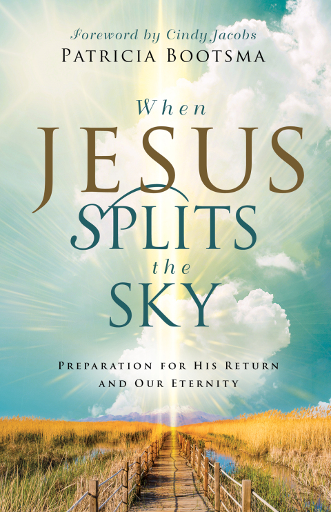 Cover image for book When Jesus Splits the Sky